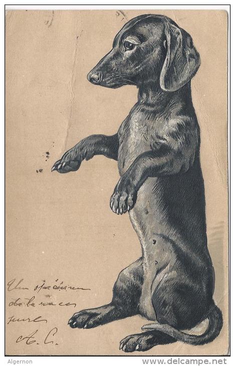 8766 -  ChienTeckel Assis (Etat Moyen) Carte En Relief - Chiens