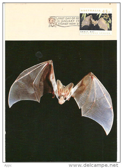 AUSTRALIE. La Chauve-souris Fantôme (Ghost Bat) Une Belle Carte-maximum De 1992 - Fledermäuse