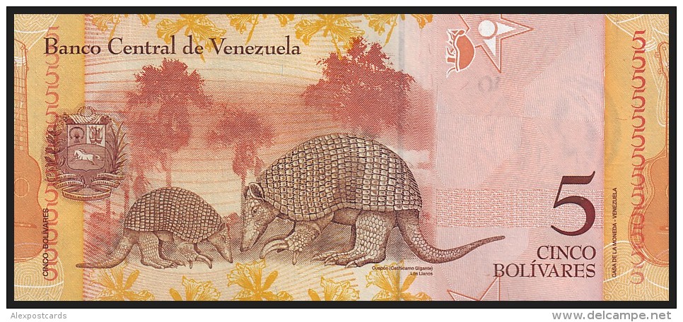 VENEZUELA. 5 Bolivares - 19.12.2008. Pick 89. UNC - Venezuela