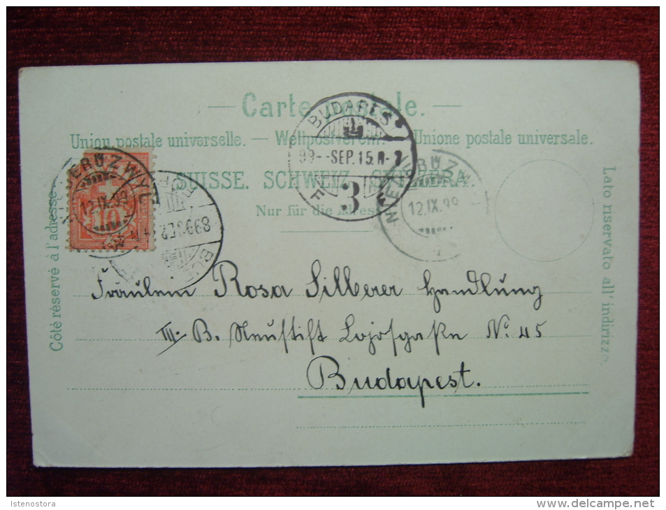 SWITZERLAND / NIEDERUZWYL - SCHWEIZERHAUS / LITHO POSTCARD / 1899 - Autres & Non Classés