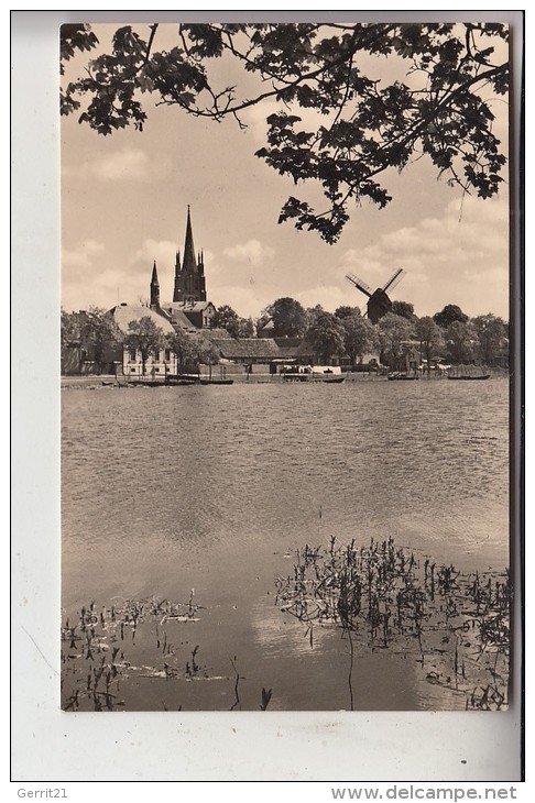 0-1512 WERDER/Havel, Ortsansicht Mit Mühle, 1961 - Werder