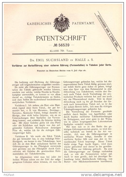 Original Patentschrift - Dr. Emil Suchsland In Halle A.S., 1890 , Tabak - Gährung , Cigarette , Cigarren , Nikotin !!! - Historische Dokumente