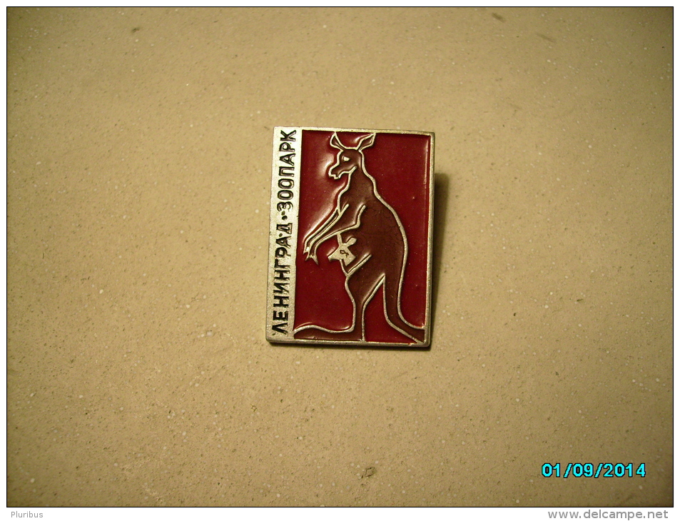 RUSSIA  USSR  LENINGRAD  ZOO  KANGAROO , PIN BADGE , 0 - Animaux