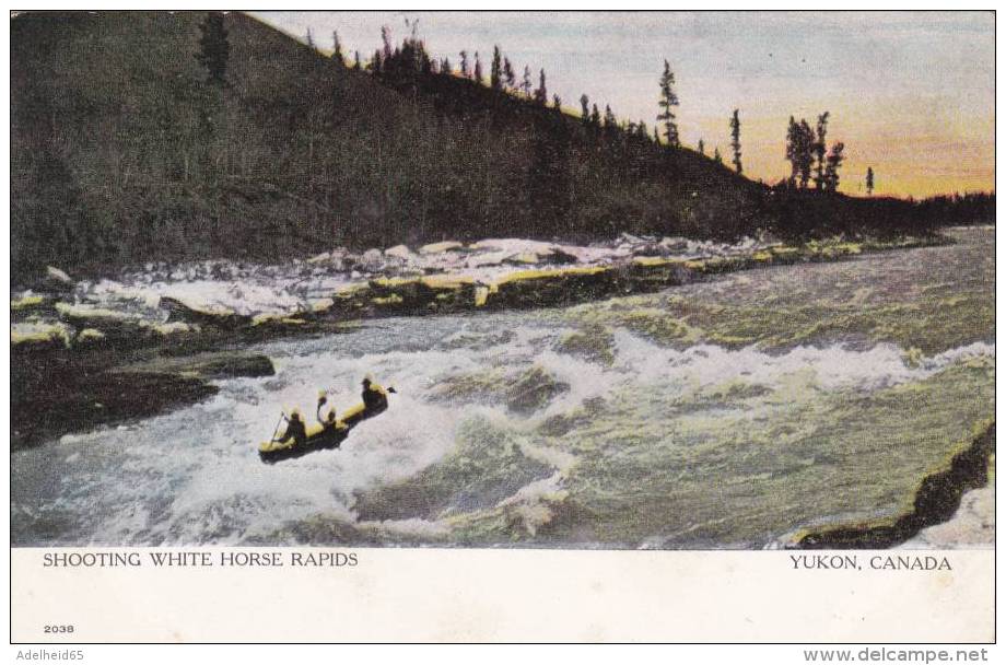 NH1 - Early Canadian Souvenir Post Card (view Back) Shooting White Horse Rapids Yukon, Publ. Warwick & Rutter, Toronto - Yukon