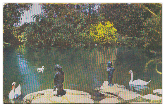 "The Frog Baby", "The Duck Baby", Duck Pool At Forest Lawn Memorial Park, Glendale, California, United States, 40´s-60´s - Altri & Non Classificati