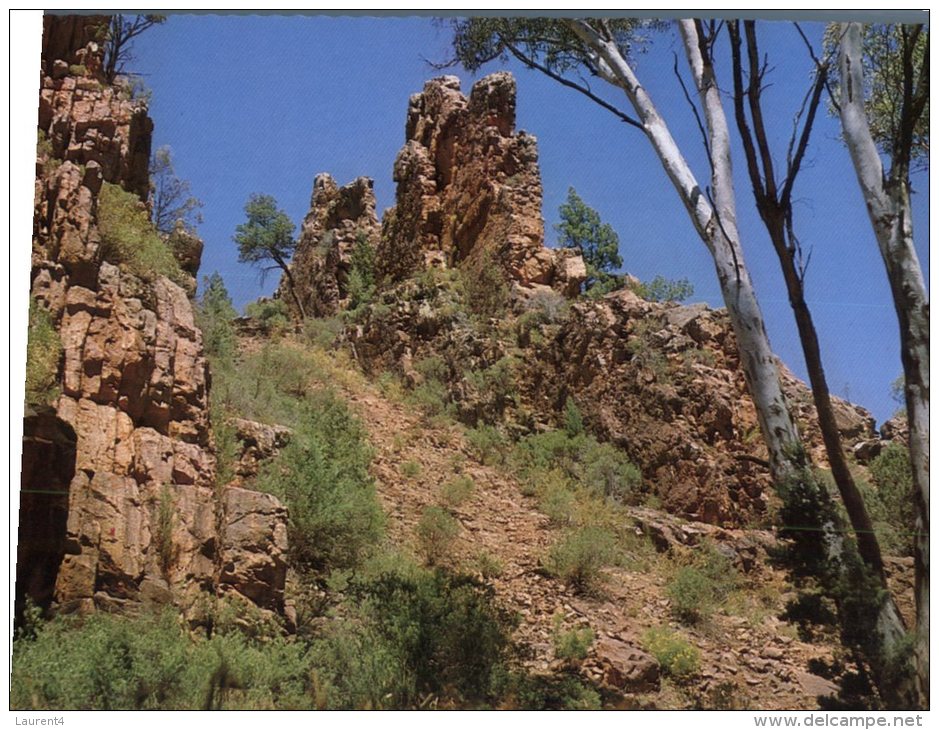 (456) Australia - SA - Flinders Ranges - Quorn Warren Gorge - Flinders Ranges