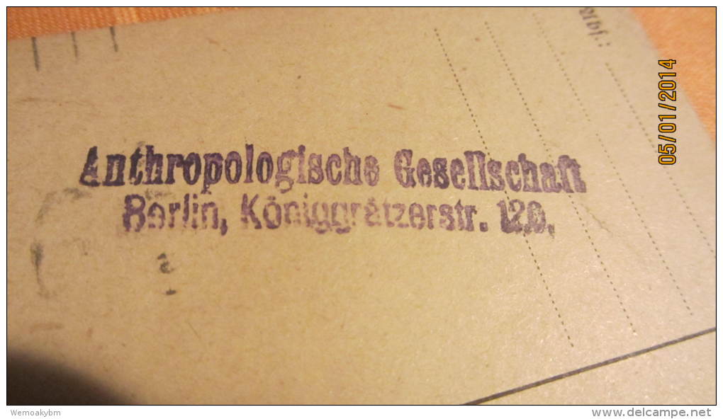 Postkarte Geschäftspost Vom 22.5.1919 Von Berlin (Anthropologische Gesellschaft) Nach Geisdorf - Sonstige & Ohne Zuordnung