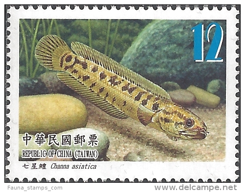 Taiwan - Fishes Of Taiwan, Set Of 4 Stamps, MINT, 2012 - Nuovi