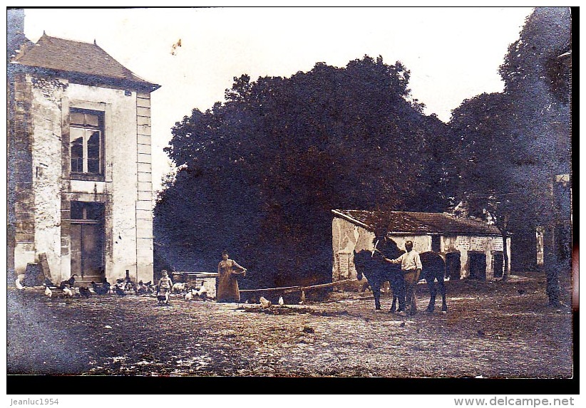 FERME ET CHEVAUX CP PHOTO - A Identifier