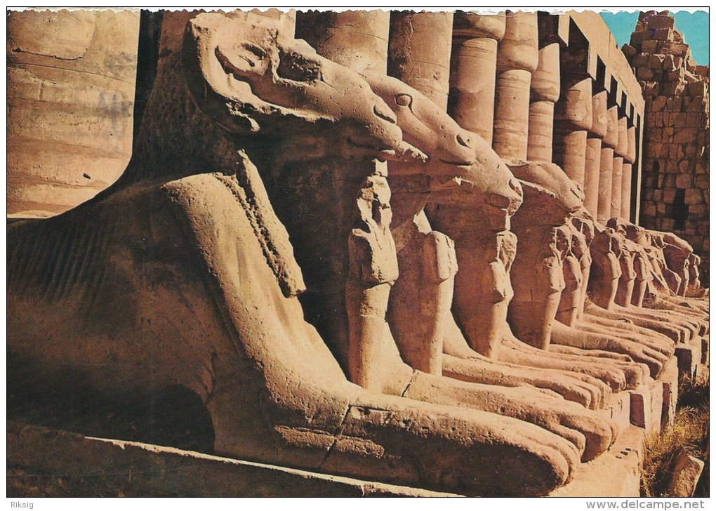 Egypt   Karnak  Widder Spinxe   #  03083 - Sphinx