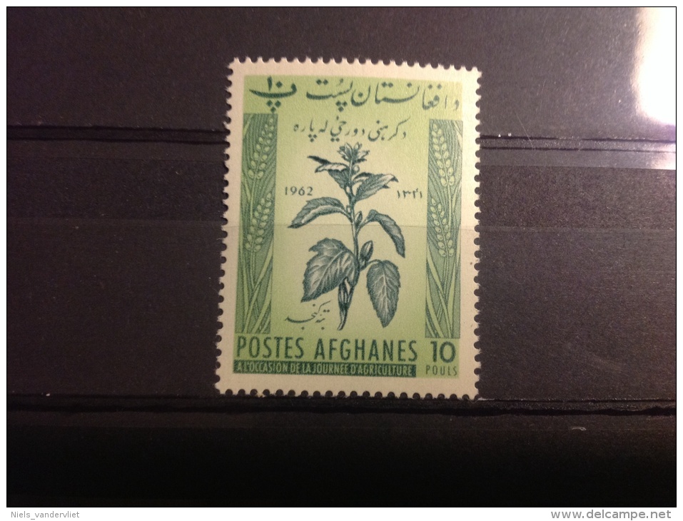 Afghanistan - Dag Van De Landbouw (10), 1962 - Afghanistan