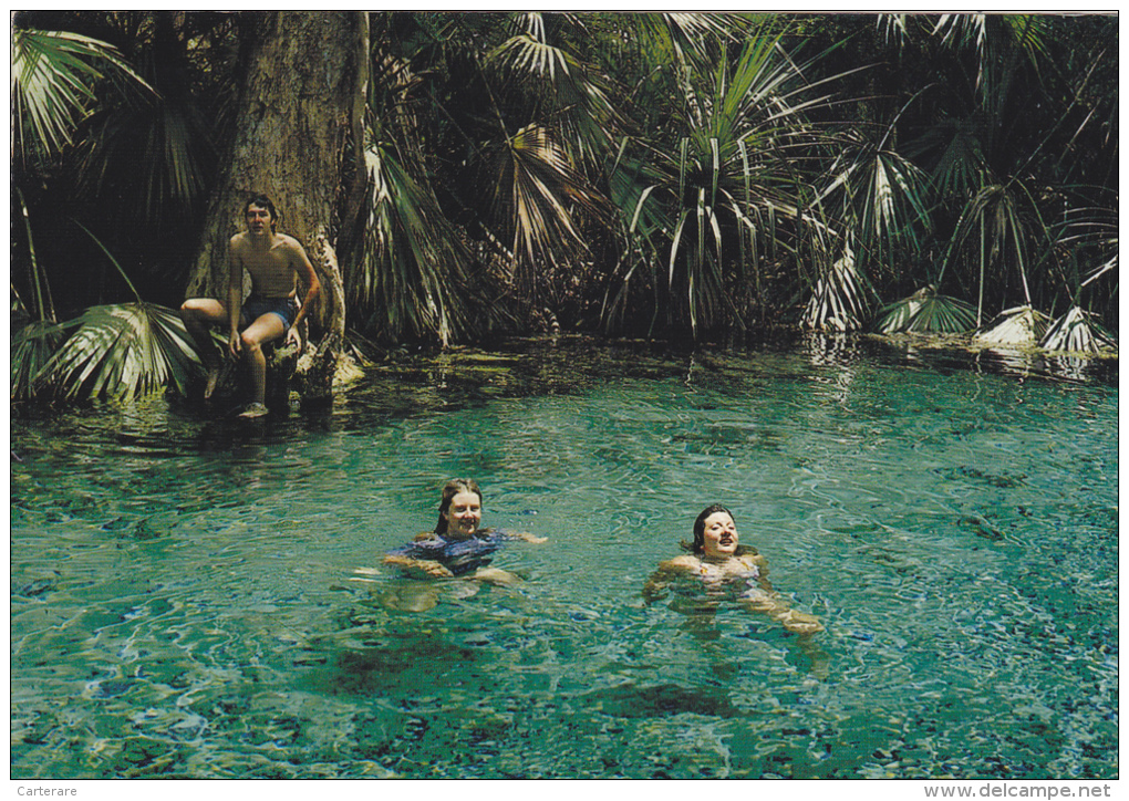 AUSTRALIE,AUSTRALIA,MATARANKA,THERMAL POOL,piscine Naturelle,nageur,touriste Français - Autres & Non Classés