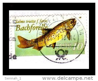 DDR / Bund / Germany: Kuriosität 'Bachforelle, Salmo Trutta, 1987' / Curiosity 'Brown Trout', Briefzentrum 14 [2010], Mi - Gebraucht