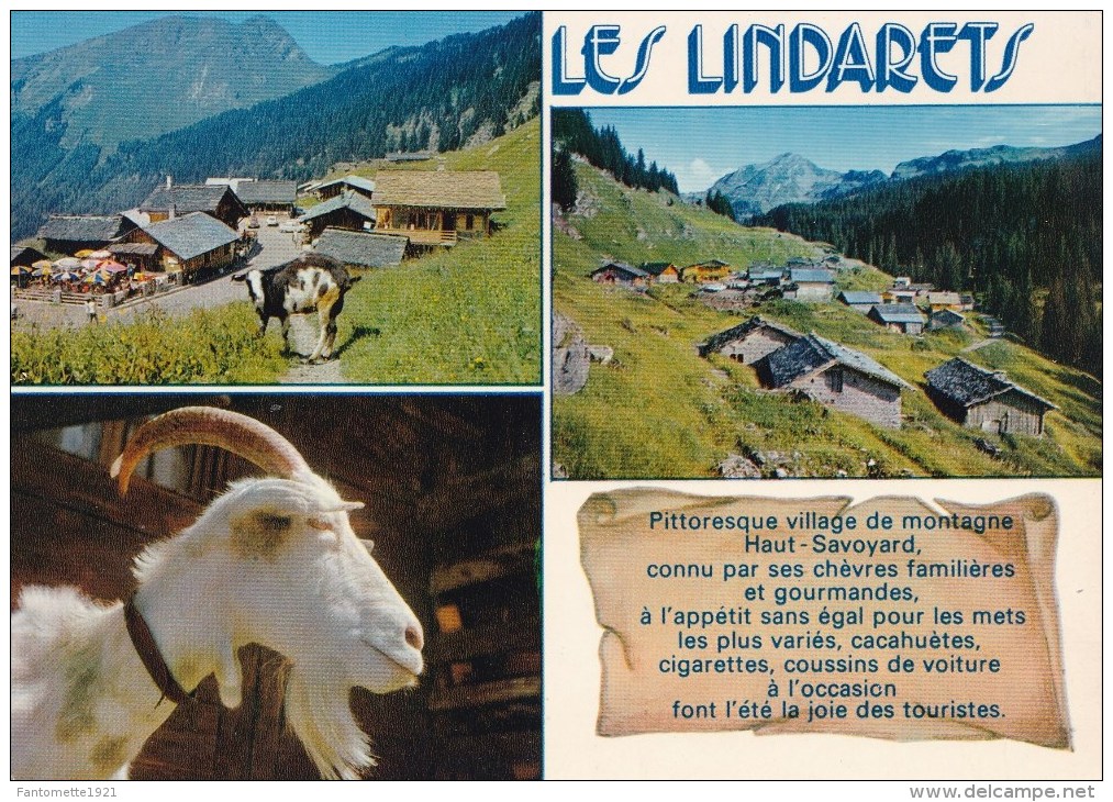 LES LINDARETS MULTIVUES (dil10) - Morzine