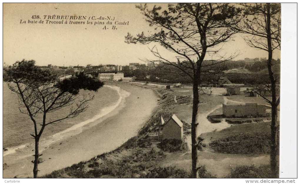 22-TREBEURDEN-La Baie De Trozoul à Travers Les Pins Du Castel - Trébeurden