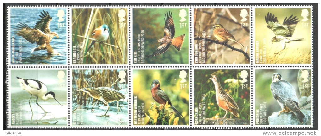 Great Britain 2007 Birds Mi 2558-2567 MNH(**) - Neufs