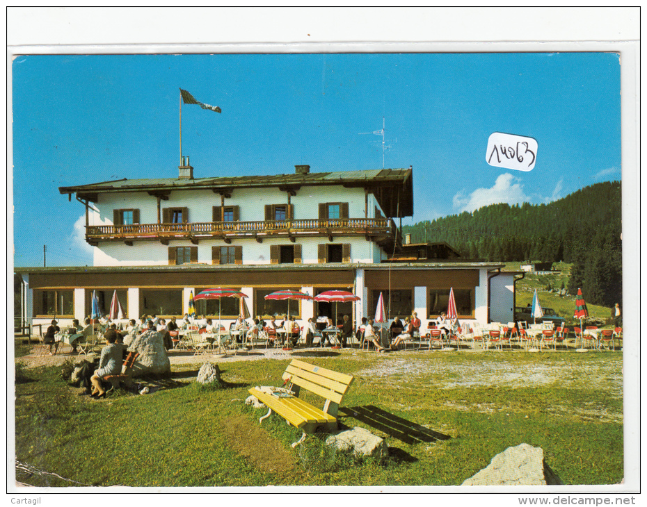 CPM GF-14063- Allemagne  - Reit Im Winckel - Berggasthof Winklmoosalm-Envoi Gratuit - Reit Im Winkl