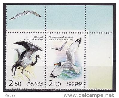 C1017 - Russie 2002 -  Yv.no.6656-7 Neufs** - Neufs