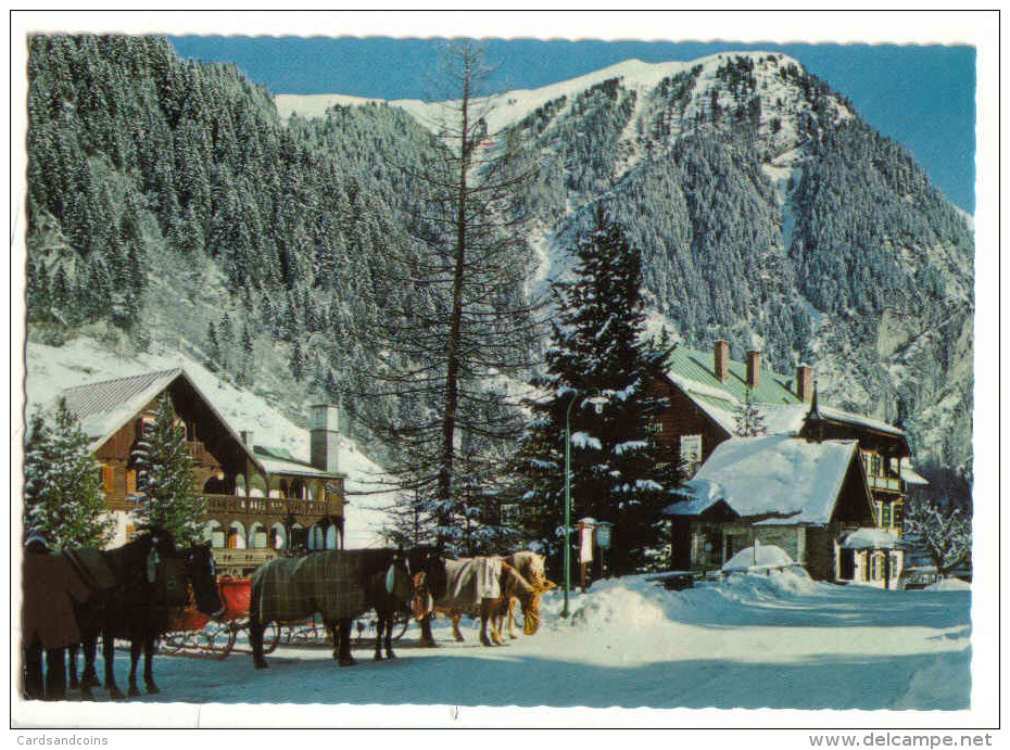 Badgastein - Hoteldorf Grüner Baum - Pferde                                                            ( Horse ) - Bad Gastein