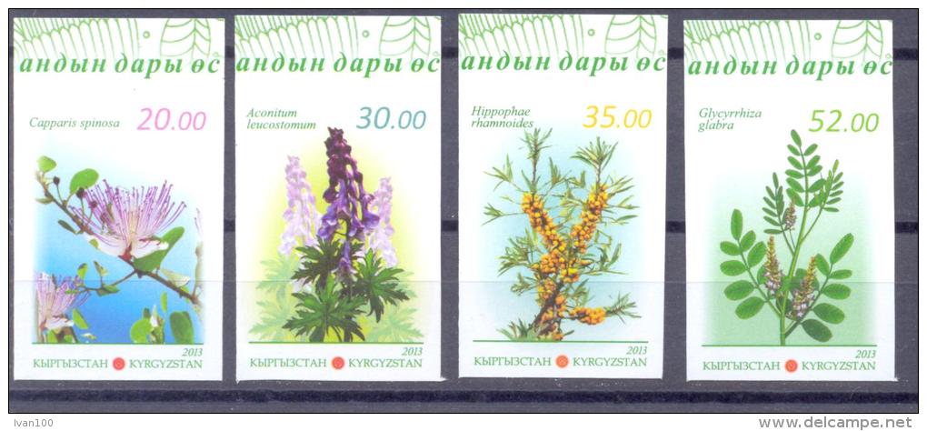 2013. Kyrgyzstan, Flora, Medical Plants Of Kyrgyzstan, Set Imperforated, Mint/** - Kirghizistan