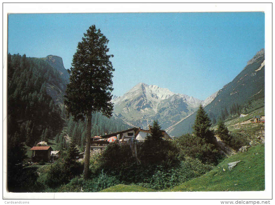 Latschenhütte Bei Imst 1975 - Imst