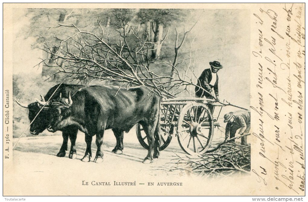 CPA 15 LE CANTAL ILLUSTRE EN AUVERGNE 1902 - Sonstige & Ohne Zuordnung