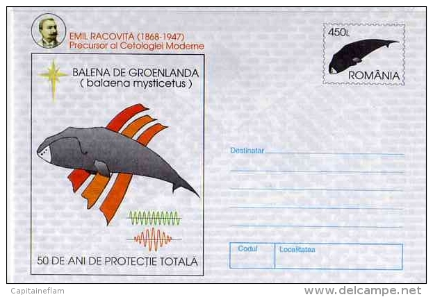 WHALE Baelaena Mysticetus  Baleine Wal Entier Postal Stationery Mint ROUMANIE 1997 - Walvissen