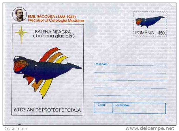 WHALE Baelaena Glacialis  Baleine Wal Entier Postal Stationery Mint ROUMANIE 1997 - Whales