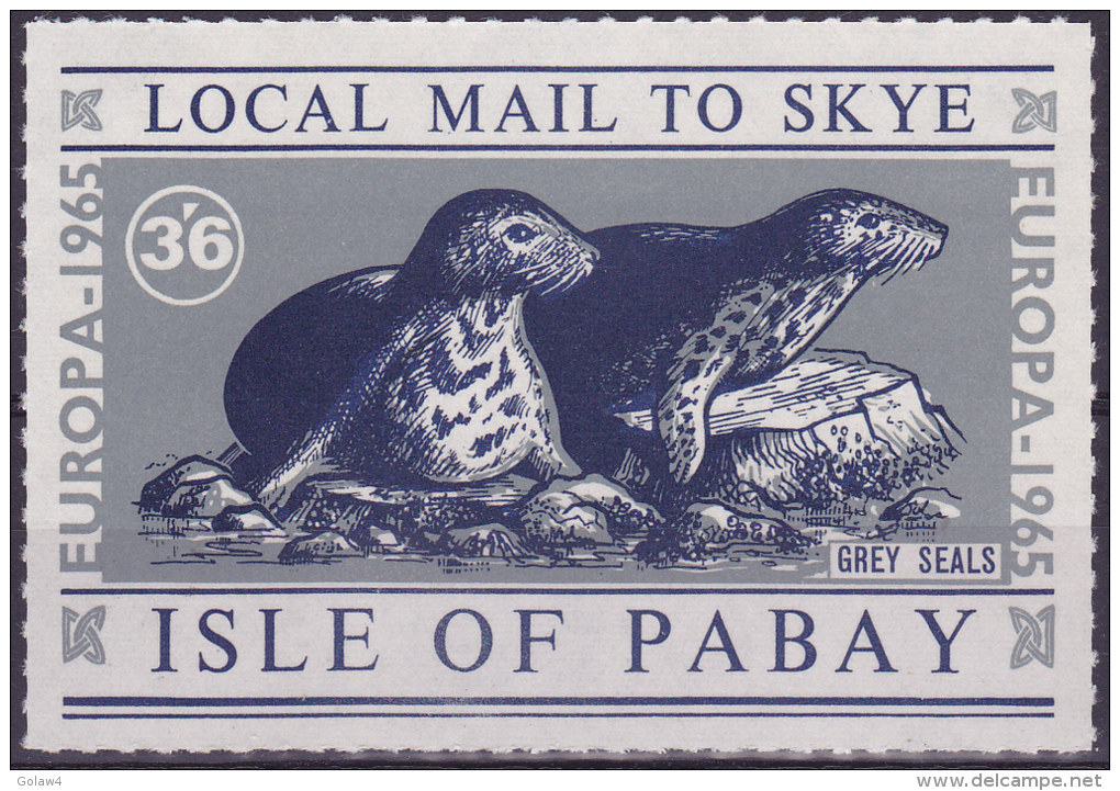 10989# ISLE OF SOAY ISLE OF SKY EUROPA 1966 GREY SEALS PHOQUE GRIS TIMBRE GRAND FORMAT NEUF ** - Local Issues