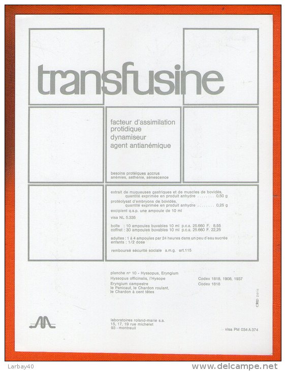 1 Image Pub 26 X 20 Cm  Transfusine  - N° 10 Hyssopus Eryngium - Publicidad