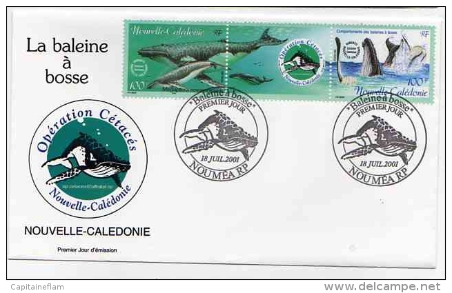 WHALE Baleine à Bosse  Wal  FDC Postmark  Noumea 18 July 2001 Nouvelle Calédonie New Caledonia - Whales