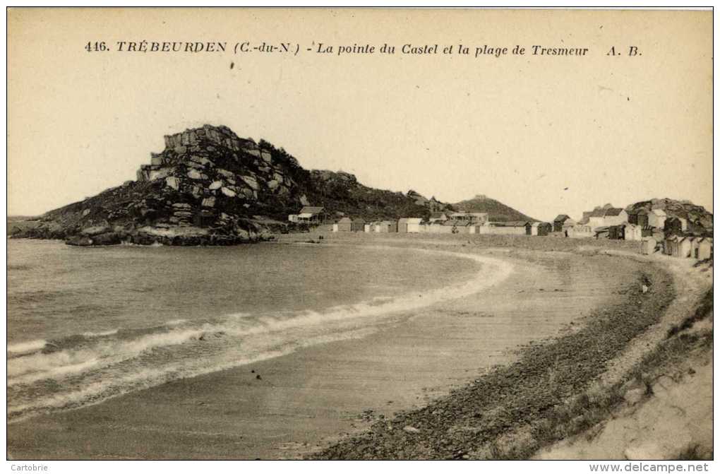 22-TREBEURDEN-La Pointe Du Castel Et La Plage De Tresmeur - Trébeurden