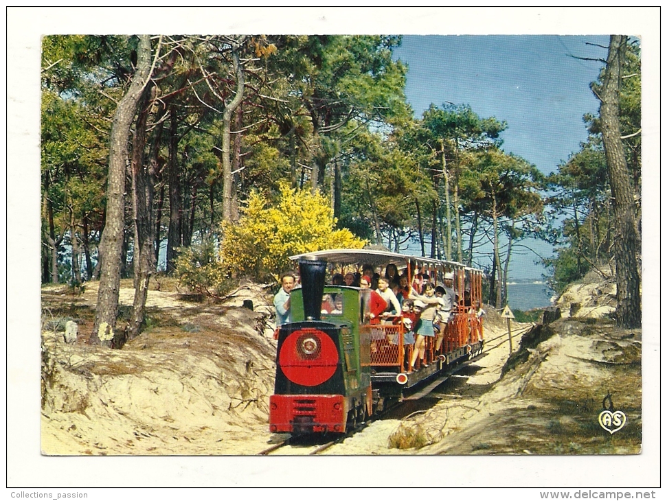 Cp, 17, Ile D'Oléron, Petit Train Touristique De Saint-Trojean Et Genêts En Fleurs, Voyagée 1970 - Ile D'Oléron