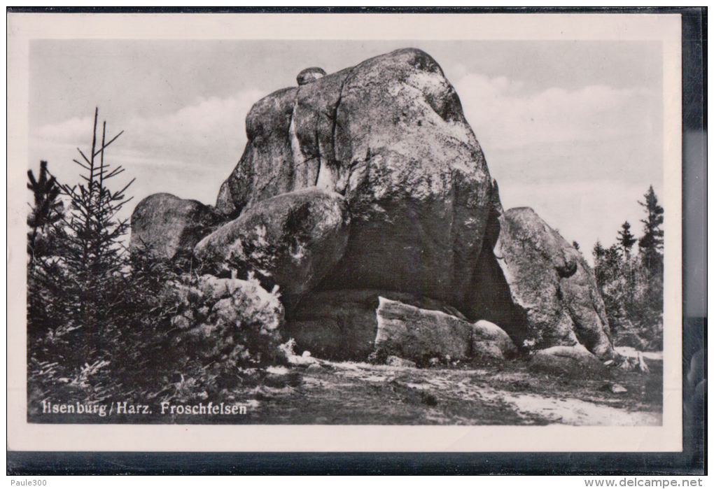 Ilsenburg - Froschfelsen - Harz - Ilsenburg