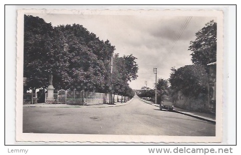 17 - MONTENDRE -  L'AVENUE DE LA RÉPUBLIQUE - CPSM DENTELÉE EN N & B - 1962 - Montendre