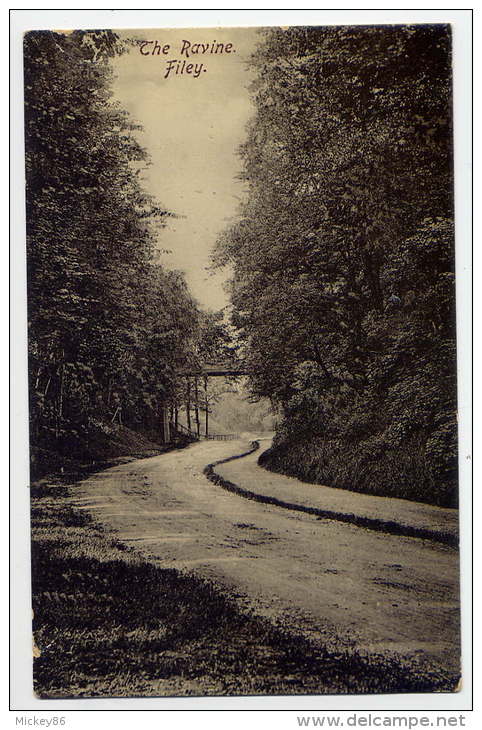 U.K--FILEY--The Ravine  --old Postcard - Autres & Non Classés