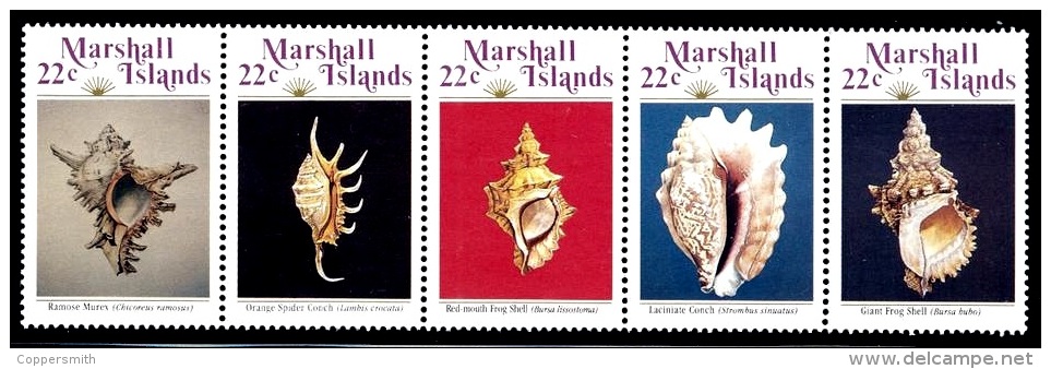 (32) Marshall Isl.  Marine Life / Vie / Shells / Coquillages / Muscheln ** / Mnh  Michel 87-91 - Islas Marshall