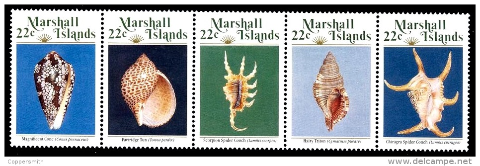 (33) Marshall Isl.  Marine Life / Vie / Shells / Coquillages / Muscheln ** / Mnh  Michel 134-38 - Marshalleilanden