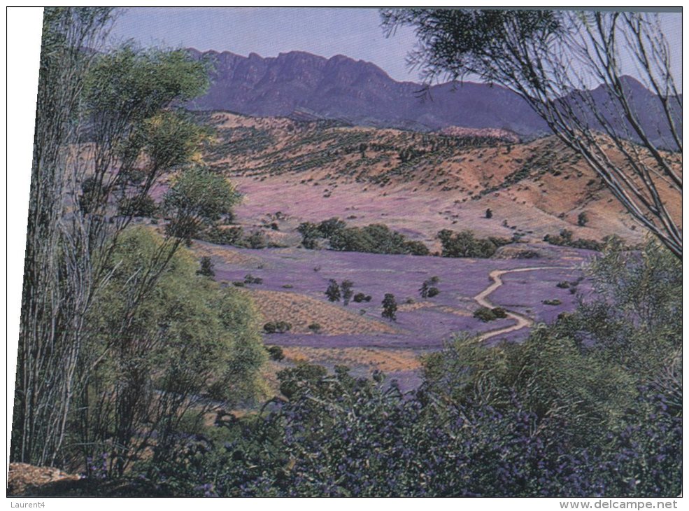 (567) Australia - SA - Wilpena Pound - Bunyeroo Valley - Flinders Ranges