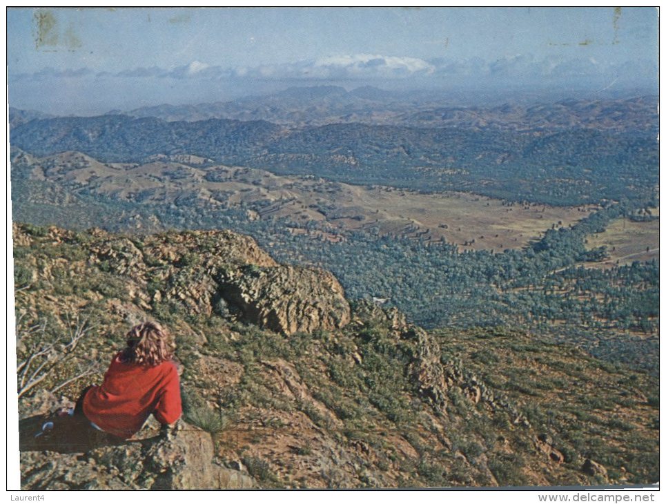 (567) Australia - SA - Wilpena Pound View From Mt John Lookout - Flinders Ranges