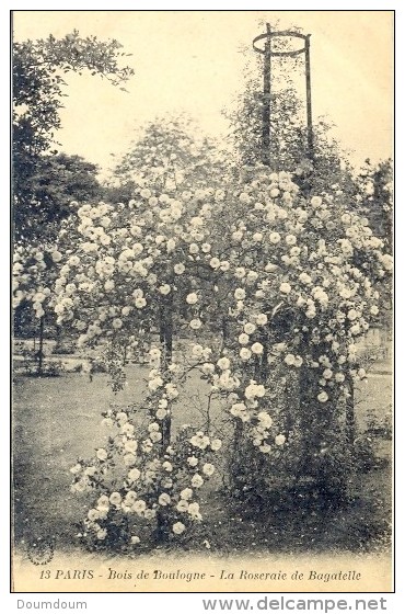 CPA PARIS - BOIS DE BOULOGNE - LA ROSERAIE DE BAGATELLE - Parcs, Jardins