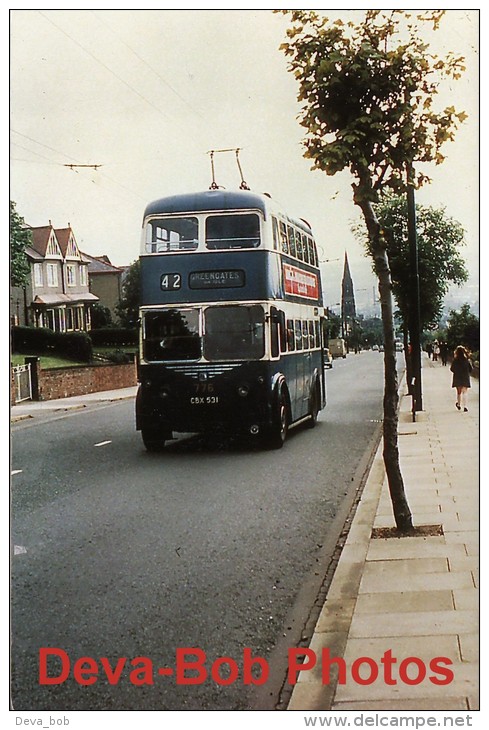 Trolleybus Photo Bradford Corporation Transport 776 Karrier W East Lancs CBX531 - Cars