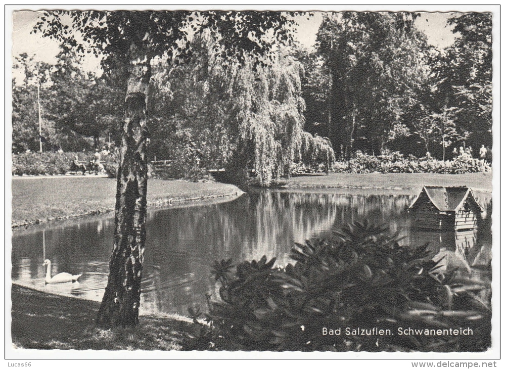 C1960 BAD SALZUFLEN SCHWANENTEICH - Bad Salzuflen