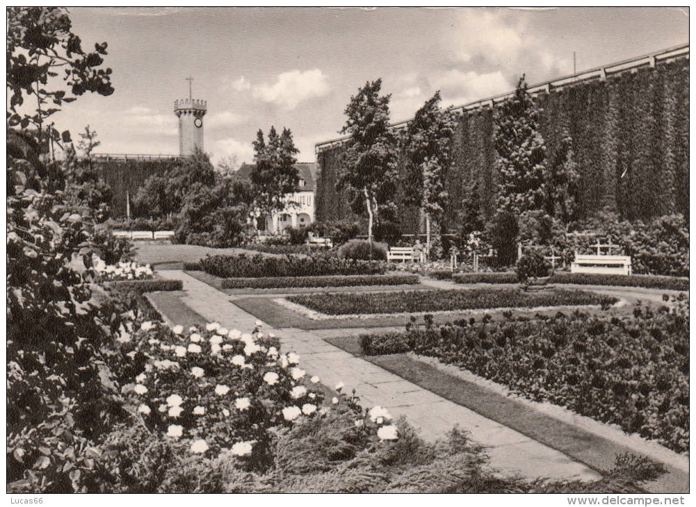 C1960 BAD SALZUFLEN  - IM ROSENGARTEN - Bad Salzuflen