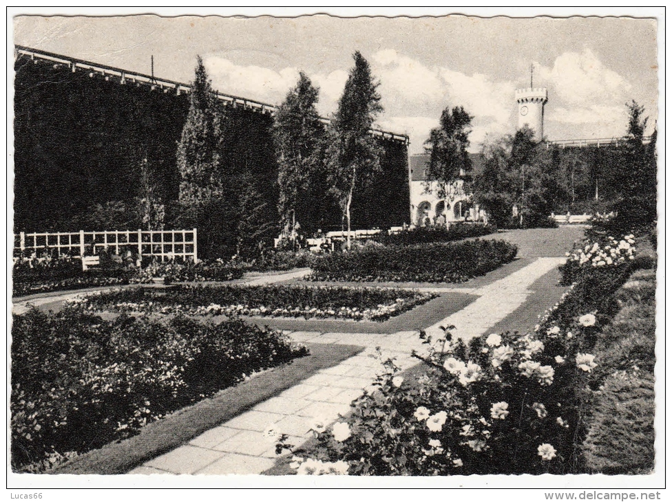 C1960 BAD SALZUFLEN  ROSENGARTEN - Bad Salzuflen