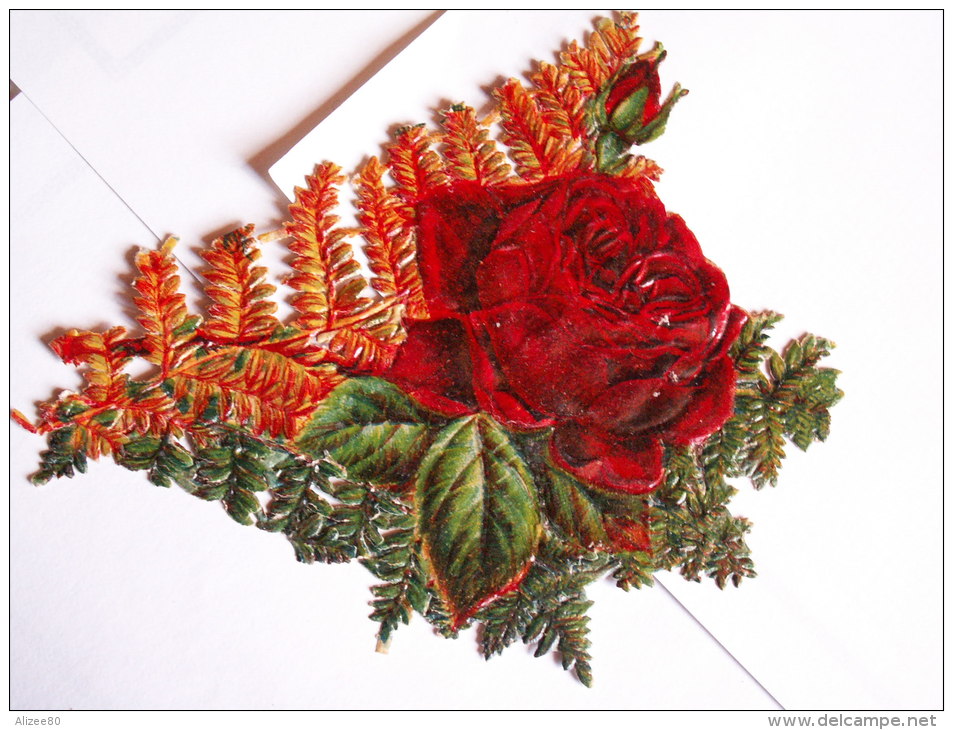 ""  JOLI   DECOUPI GAUFRE FOUGERE  ROSE "" 13  Cm - Flowers