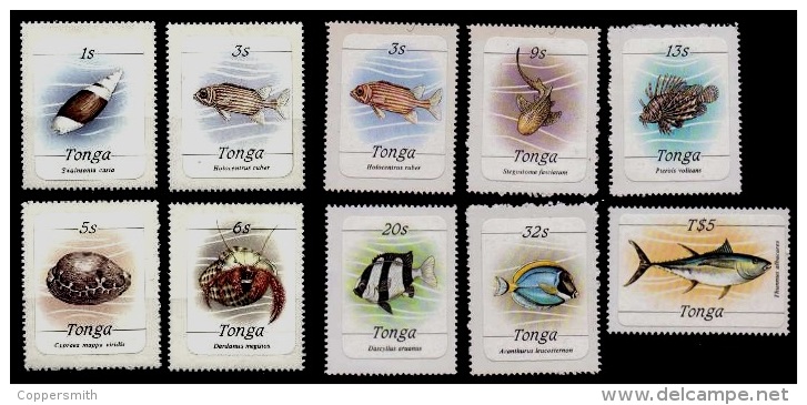 (005) Tonga  Meerestiere / Marine Life / Animaux Marines   ** / Mnh  Michel Ex 873-77 - Tonga (1970-...)