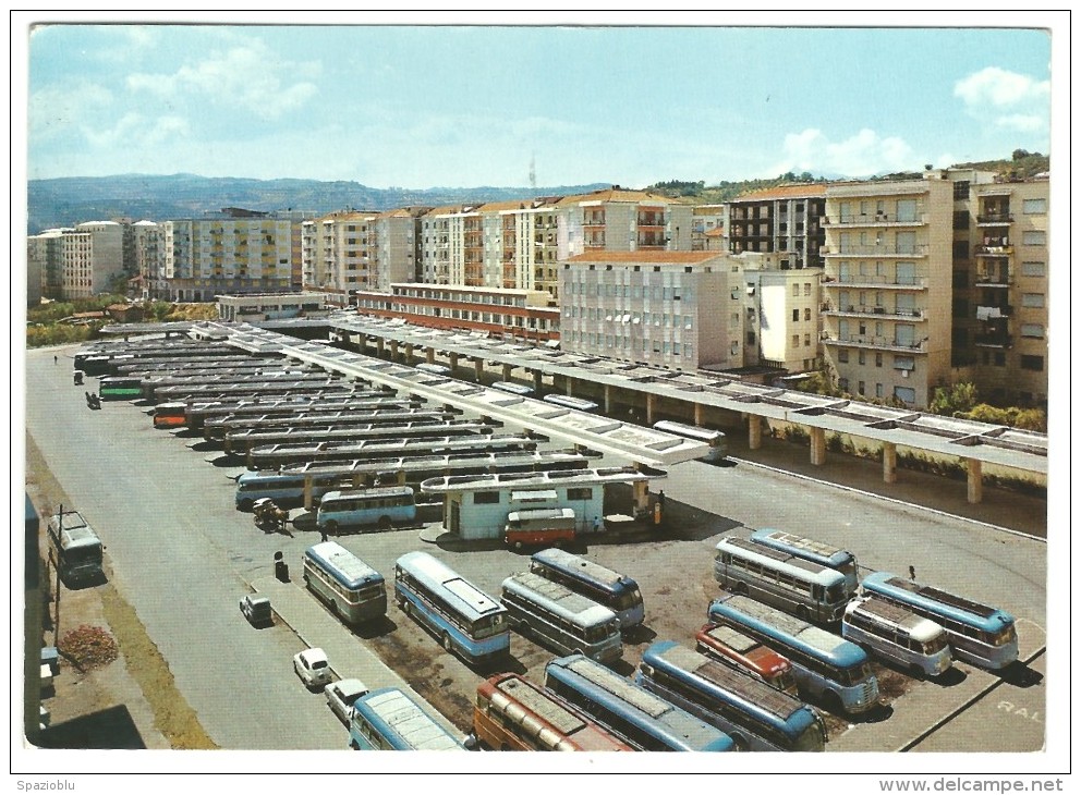 1966, COSENZA, Panorama Stazione Autolinee - Altri & Non Classificati