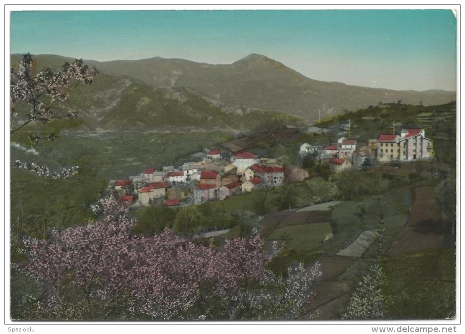 1964, Pertuso Di Ferriere, Con Veduta Del Monte Carevolo. - Piacenza