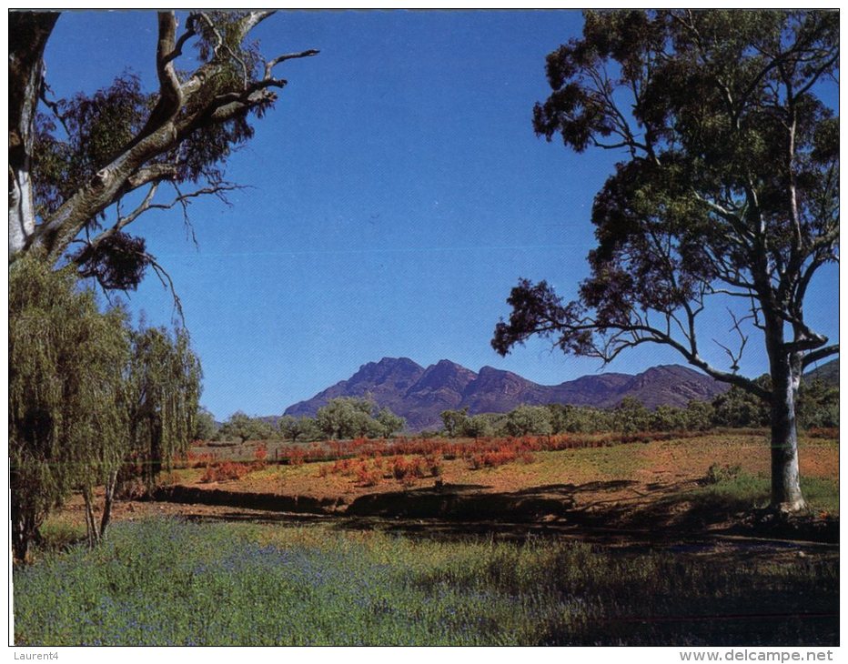 (987) Australia -  SA - Elder Range - Flinders Ranges